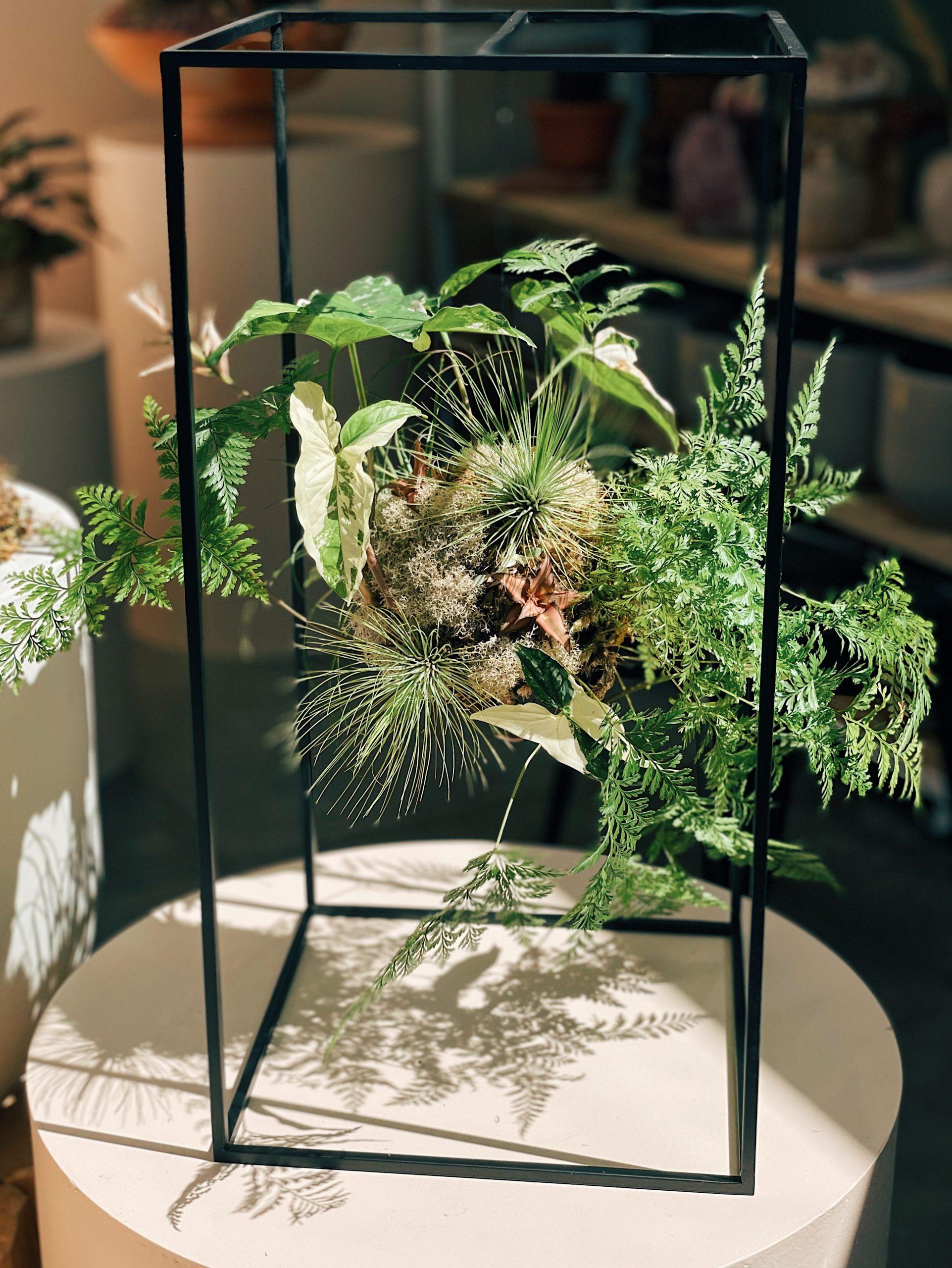 FLO Atelier Botânico